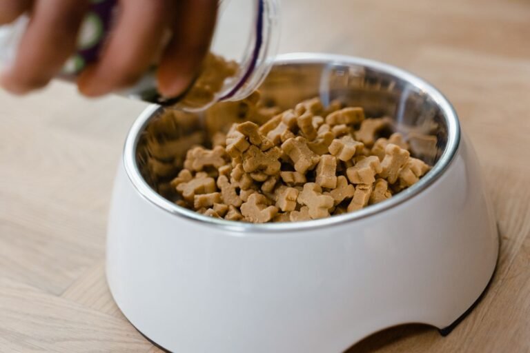 The best dog foods